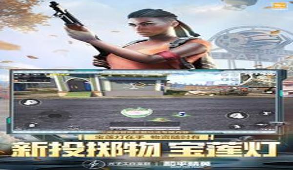 和平精英大黄蜂辅助下载 和平精英大黄蜂辅助下载