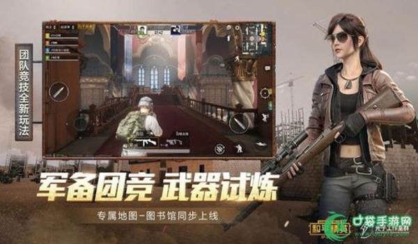 和平精英龙骑士v10辅助 和平精英龙骑士v10辅助